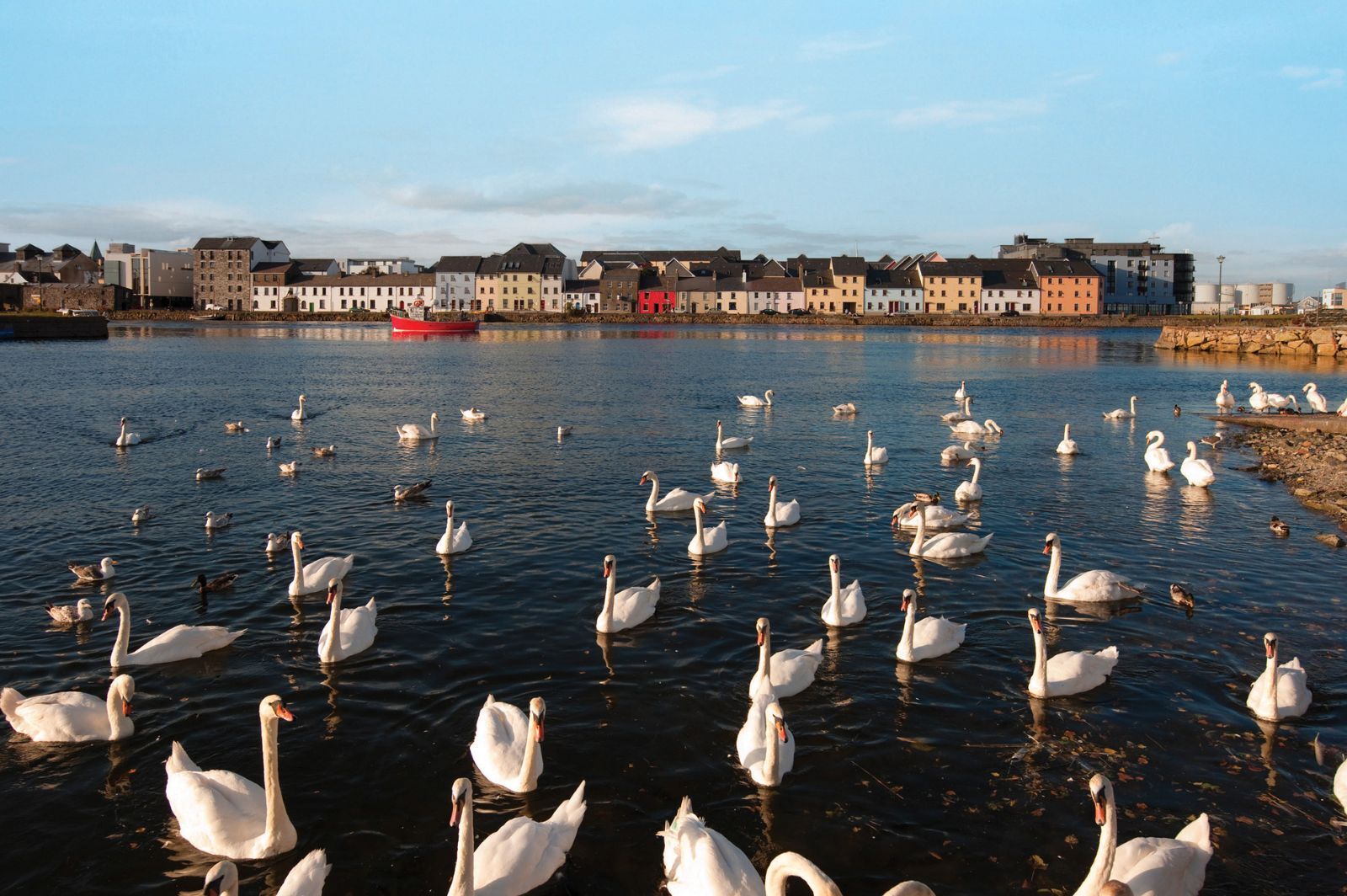 2025 Early Bird Discount with CIE Tours