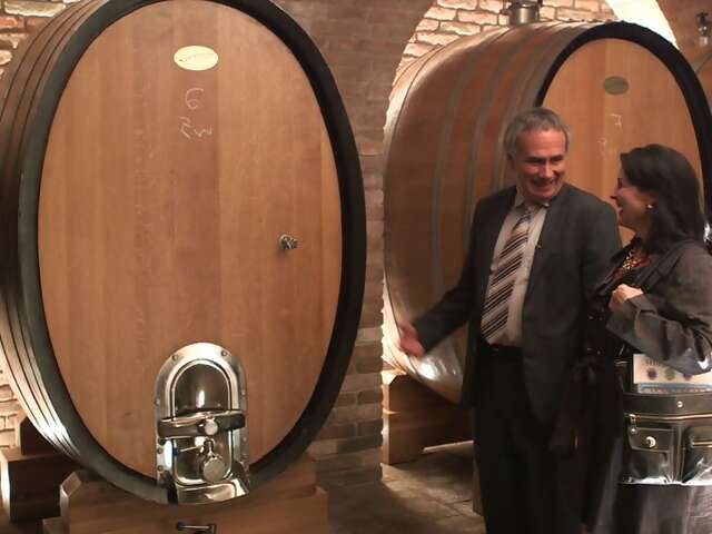 Video: Meet the Wine Maker in the 'Tuscany of Austria'