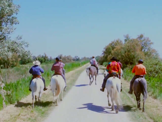 Video: Meet a Cowboy... in France