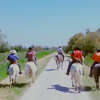 Video: Meet a Cowboy... in France