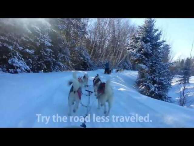 The Road Less Traveled