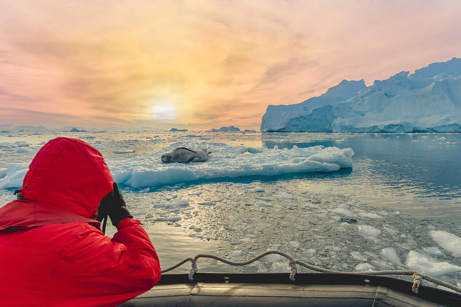 Antarctic