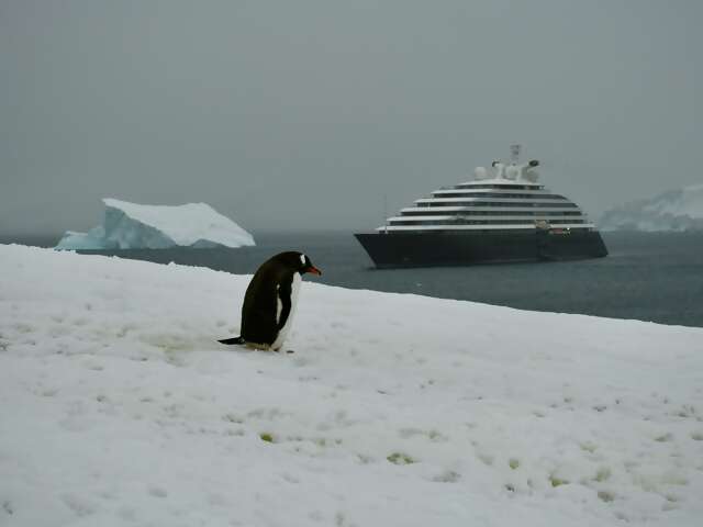 Why an Expedition Cruise Might Be Your Best Adventure Yet
