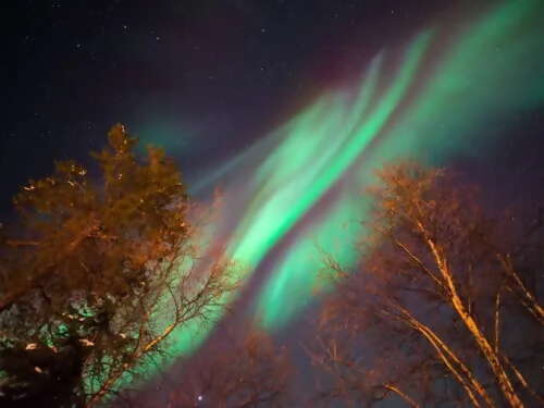 Yellowknife Sightseeing & Aurora