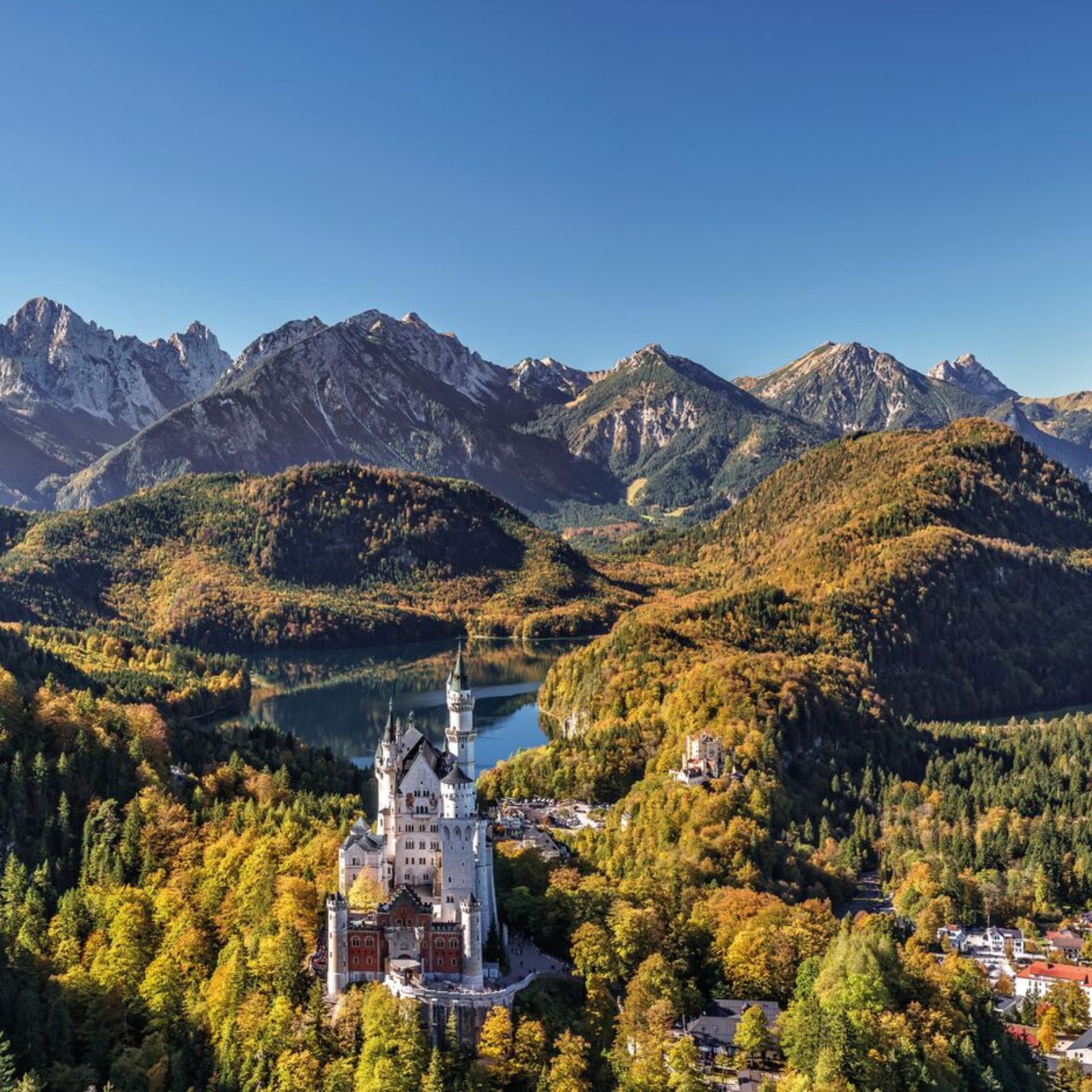 Save up 15% on select 2025 and 2026 tours