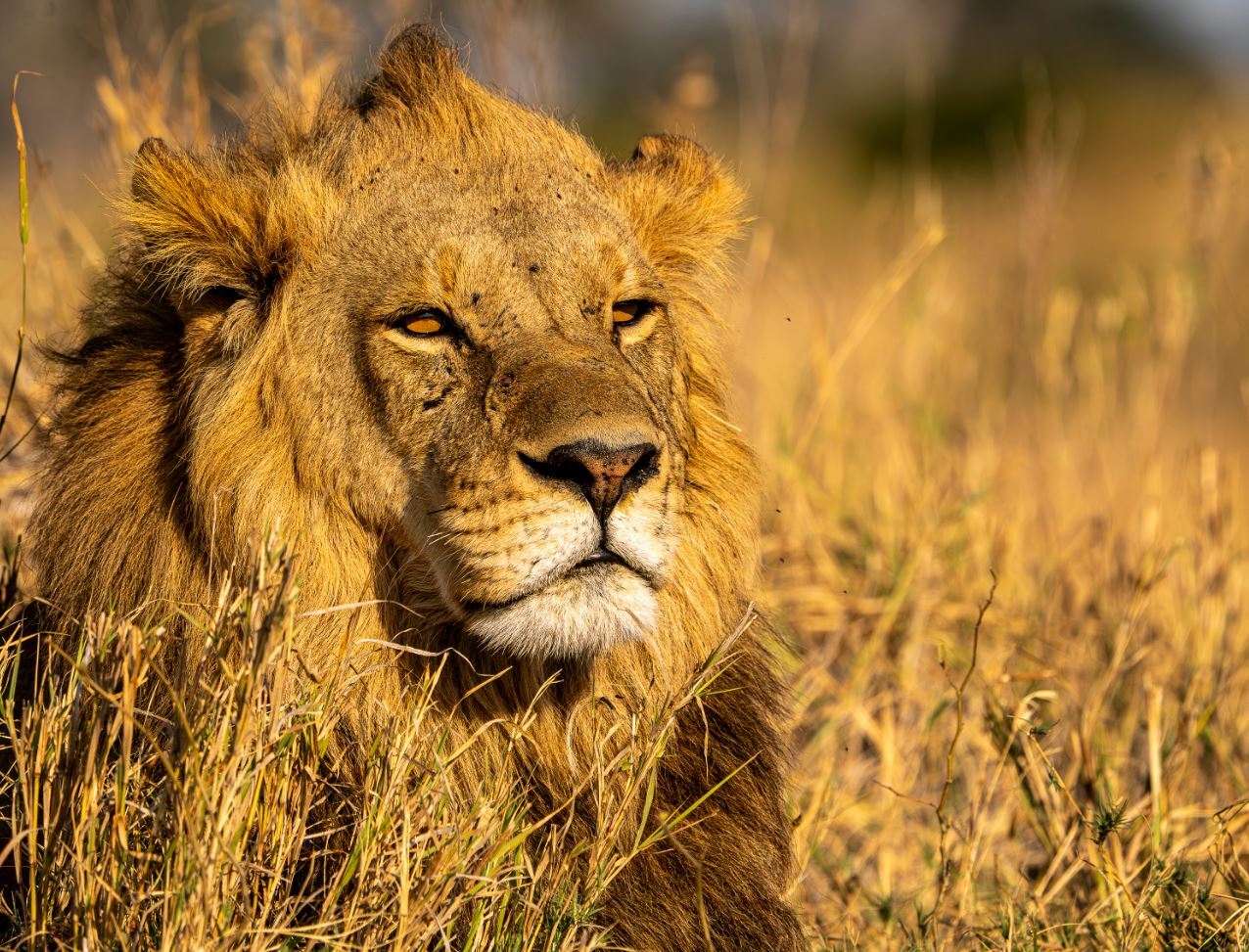 Outfitted for Adventure with Micato Safaris