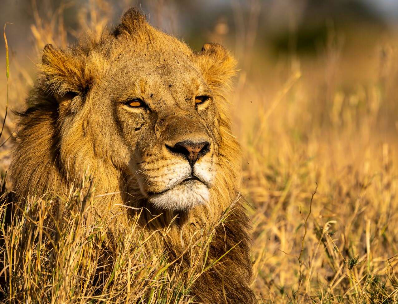 Outfitted for Adventure with Micato Safaris