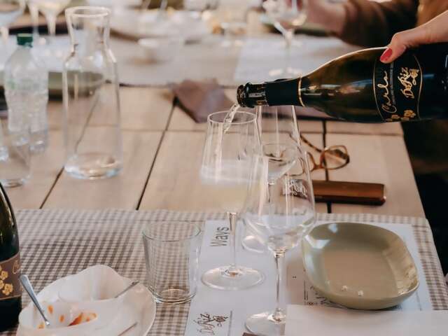 Private Day Tour from Venice: Hilltowns, Palladio & Prosecco