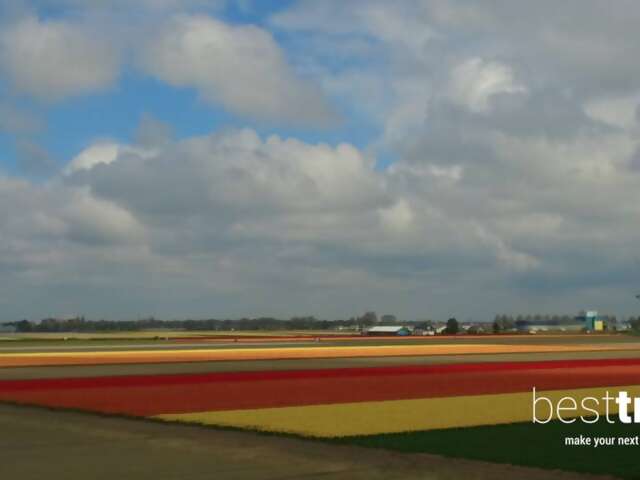 Video Cruise Review: Tulips and Much More on an Avalon Spring Netherlands River Cruise