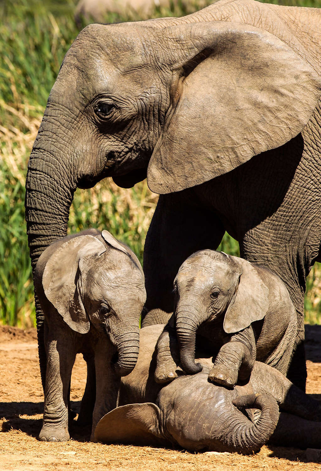 south-africa-day9.jpg