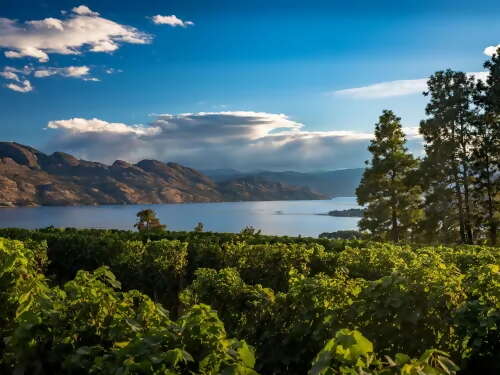 Meet and Greet in Kelowna