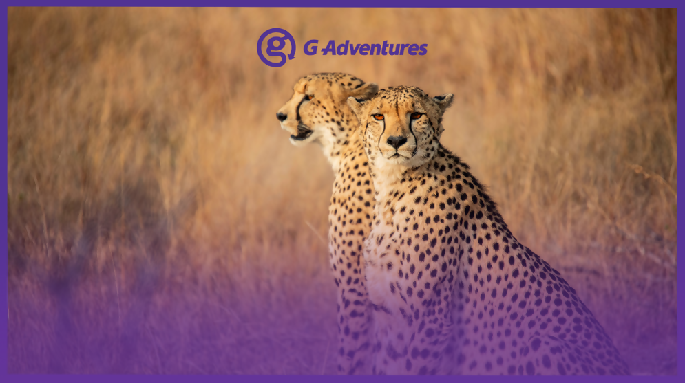 Enter to Win the Ultimate African Adventure: Explore Kruger & Victoria Falls with G Adventures!