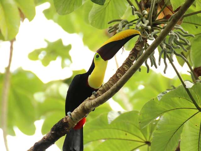 What is it like to travel to Costa Rica as a Nature Lover