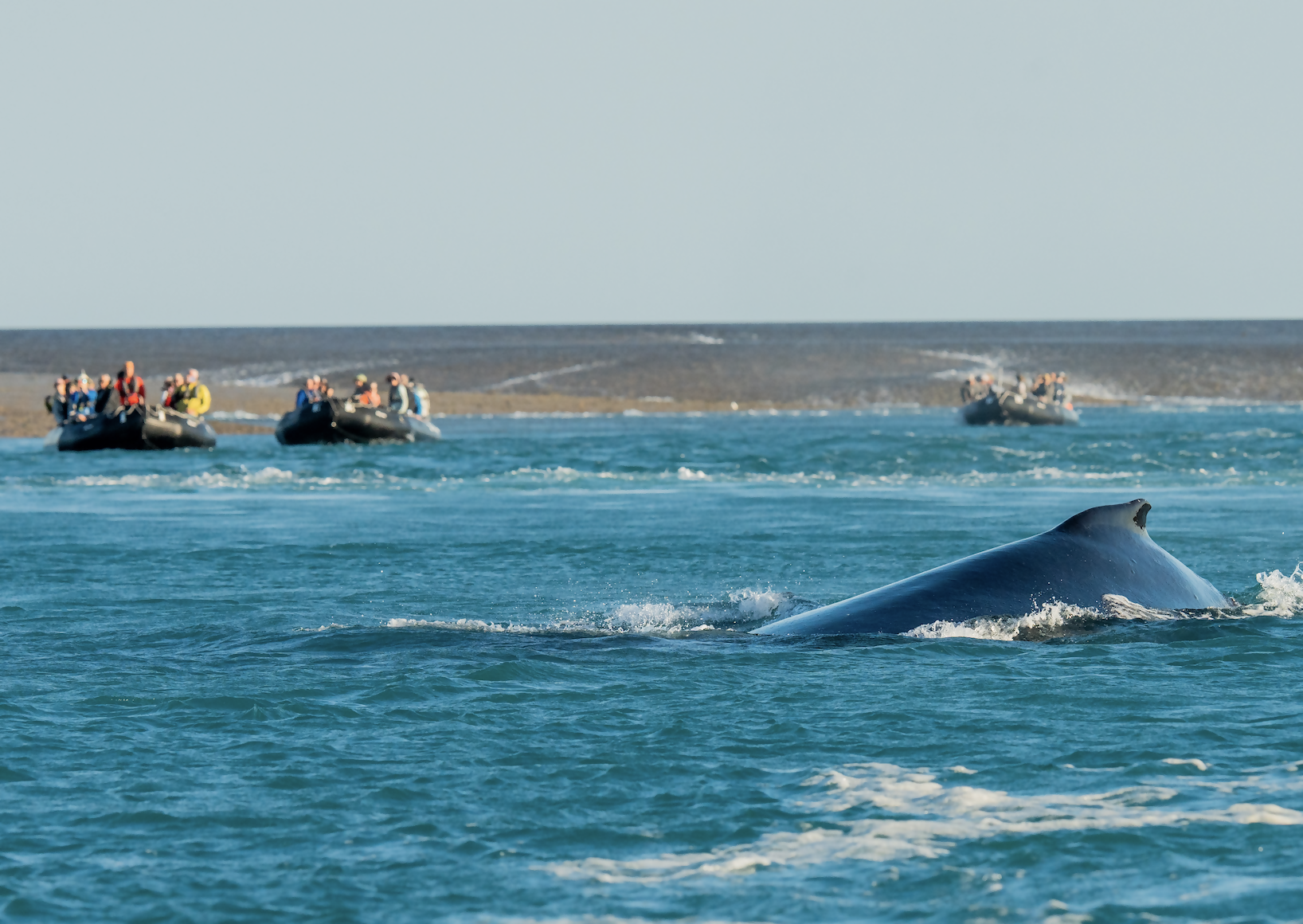 Get Thousands in Shipboard Credit Plus Upgrades: Seabourn’s Black Friday Sale