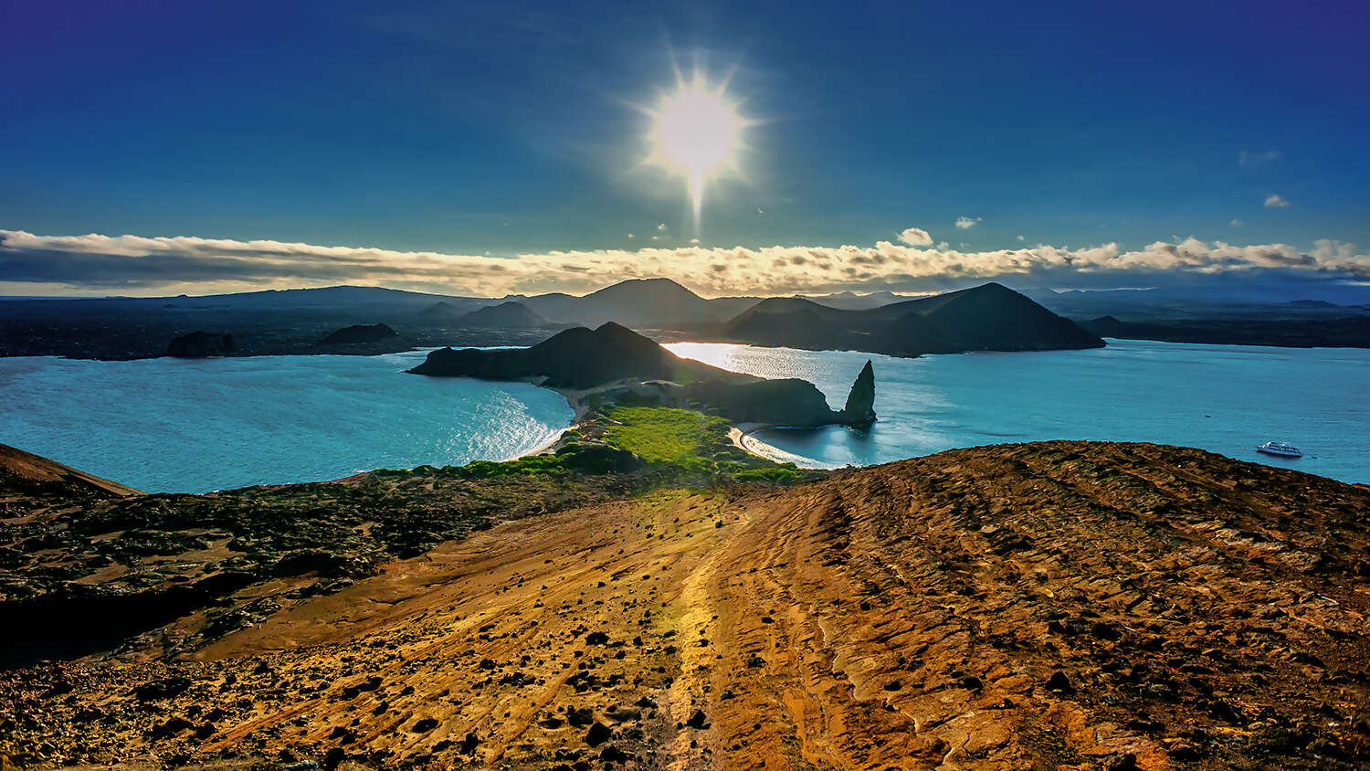 Wildly Wonderful Ecuador: A Safari Through Nature's Playground