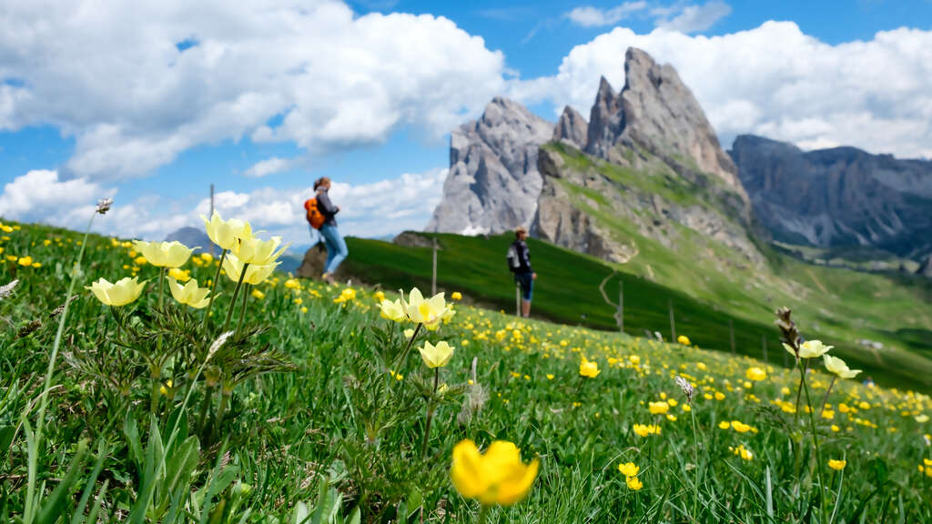Wellness Retreats Streamlined - Benefits of Using a Retreat Planning Company