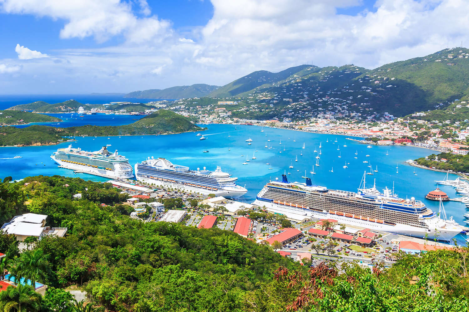 Ocean and River Cruises