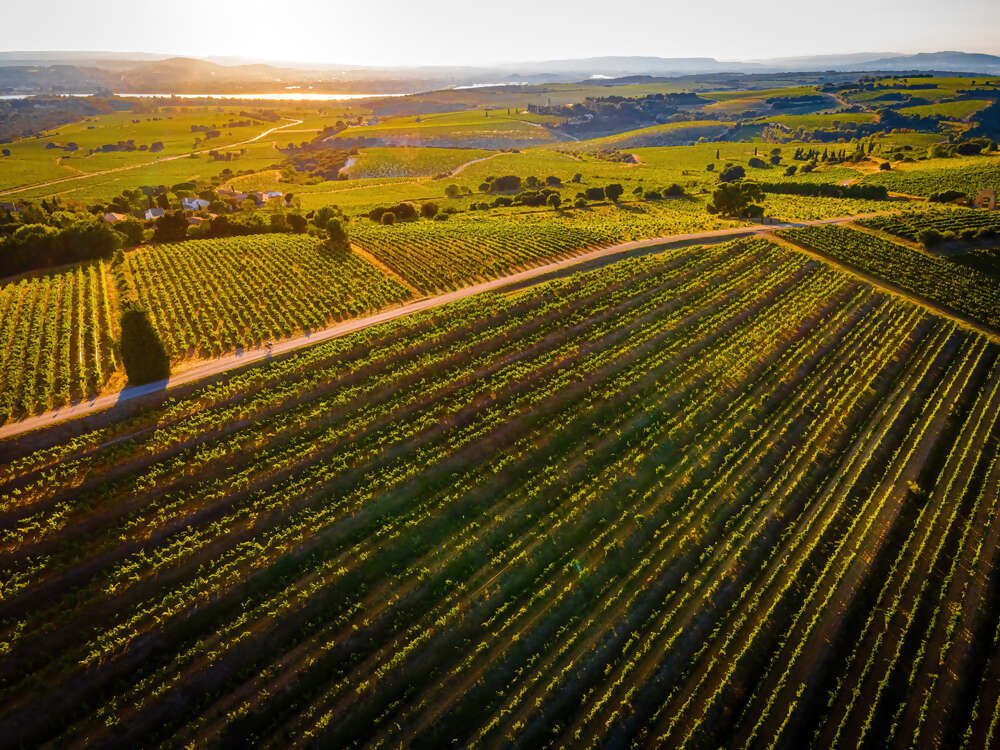 Côtes-du-Rhône Wine Exploration