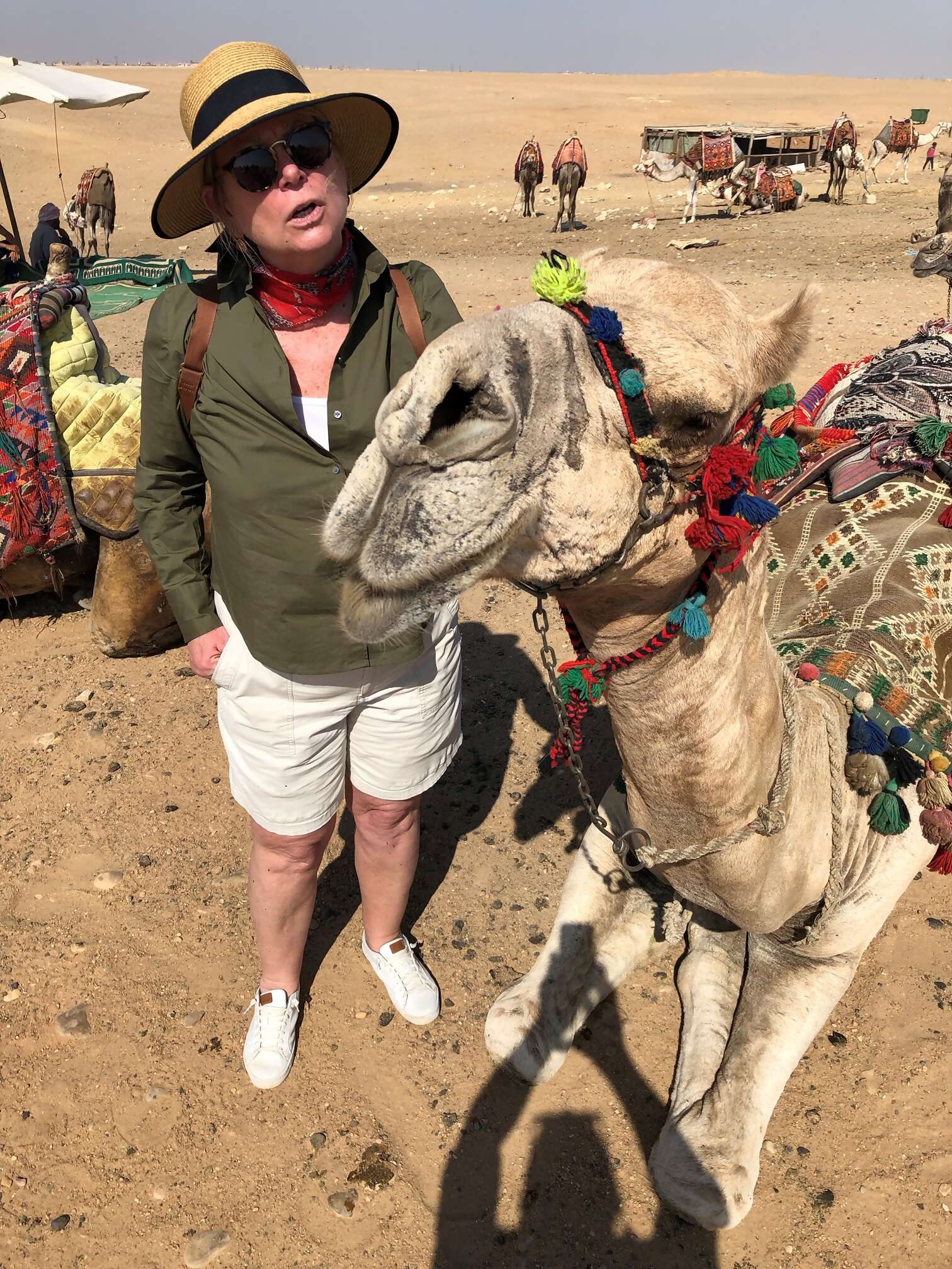 EGYPT:  I Didn’t Know You Could Do That!