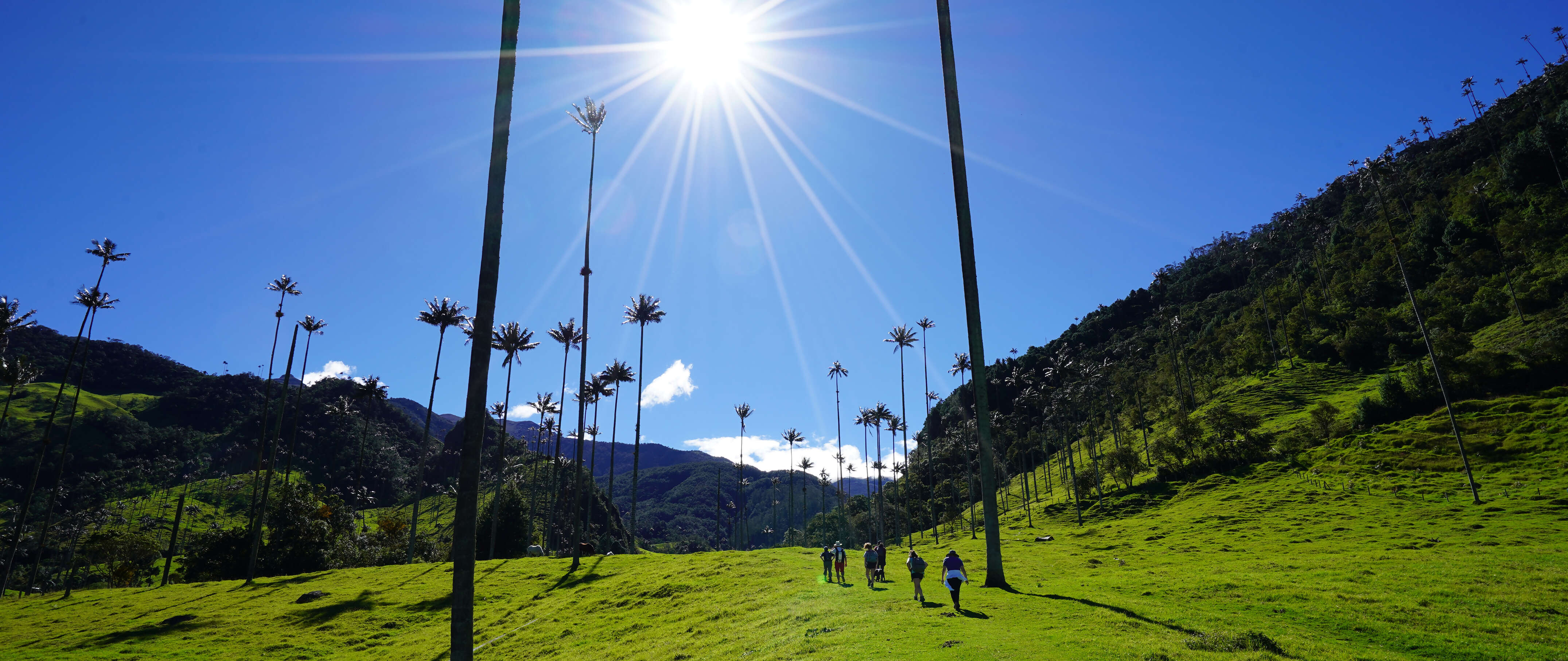 Plan your Travel with Discovery Tours Est. 1995