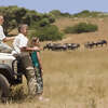 Family Vacations in Africa