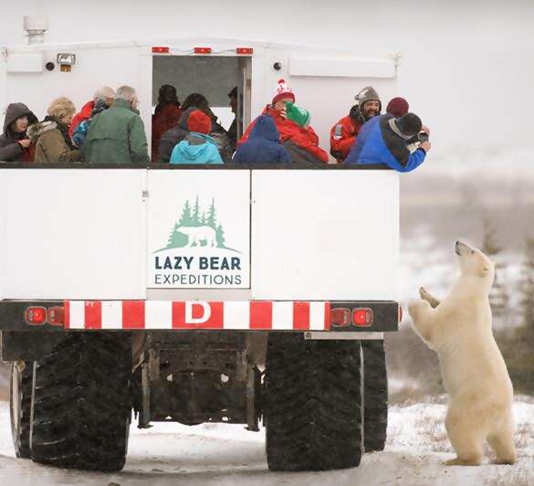 Experience the northern frontier town of Churchill and the wonderful wildlife surrounding it on a 2 night, 3 days – Polar Bear Adventure!