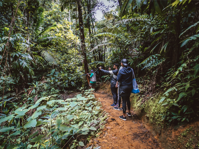 Explore the Oldest Protected Forest in the Hemisphere