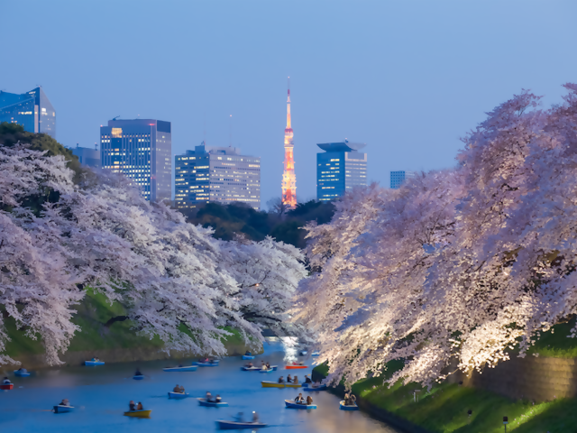 Signs of Spring - Worth Traveling For