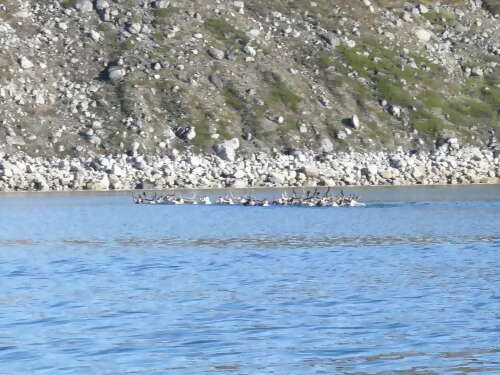 Canoe Journey on the Payne River