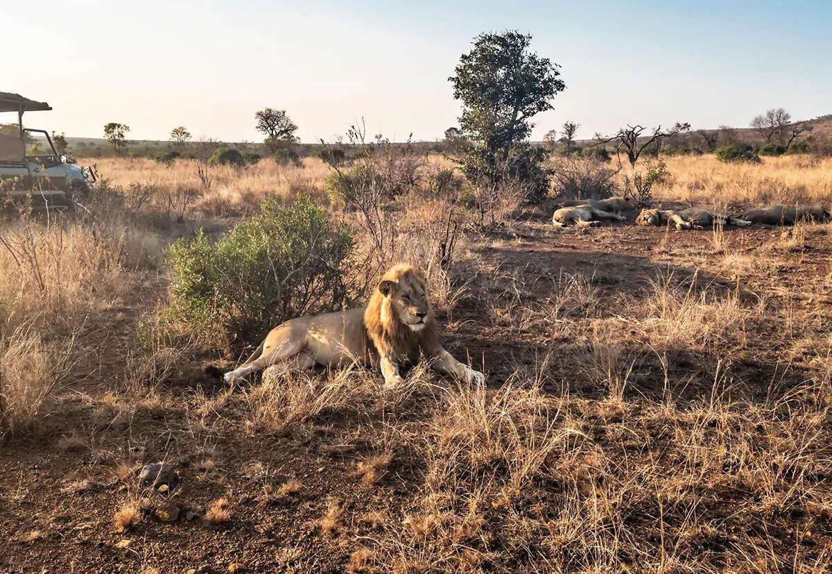 South-Africa.jpg South-Africa.jpg