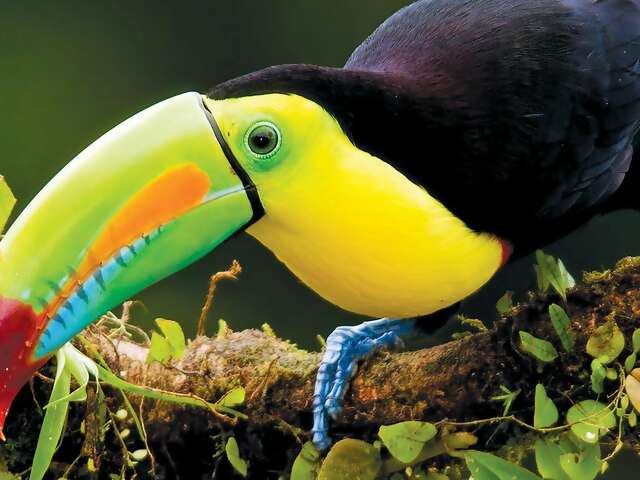 Costa Rica and the Panama Canal