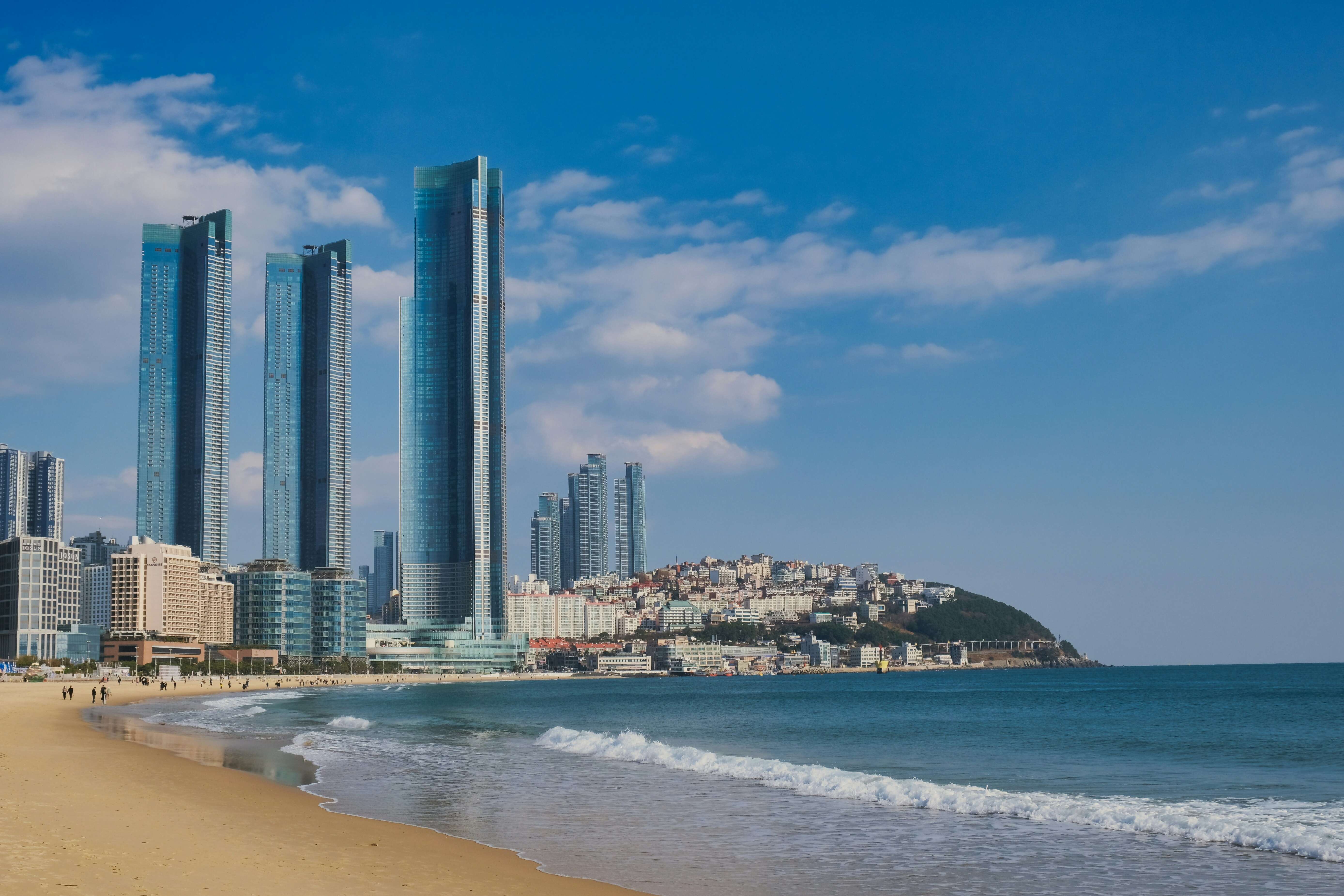 Exploring Busan's Culinary Gems: From Street Food to Upscale Dining