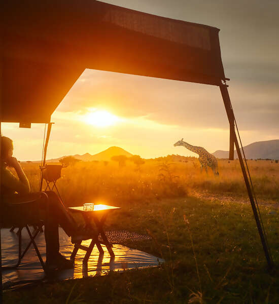 Africa Safari