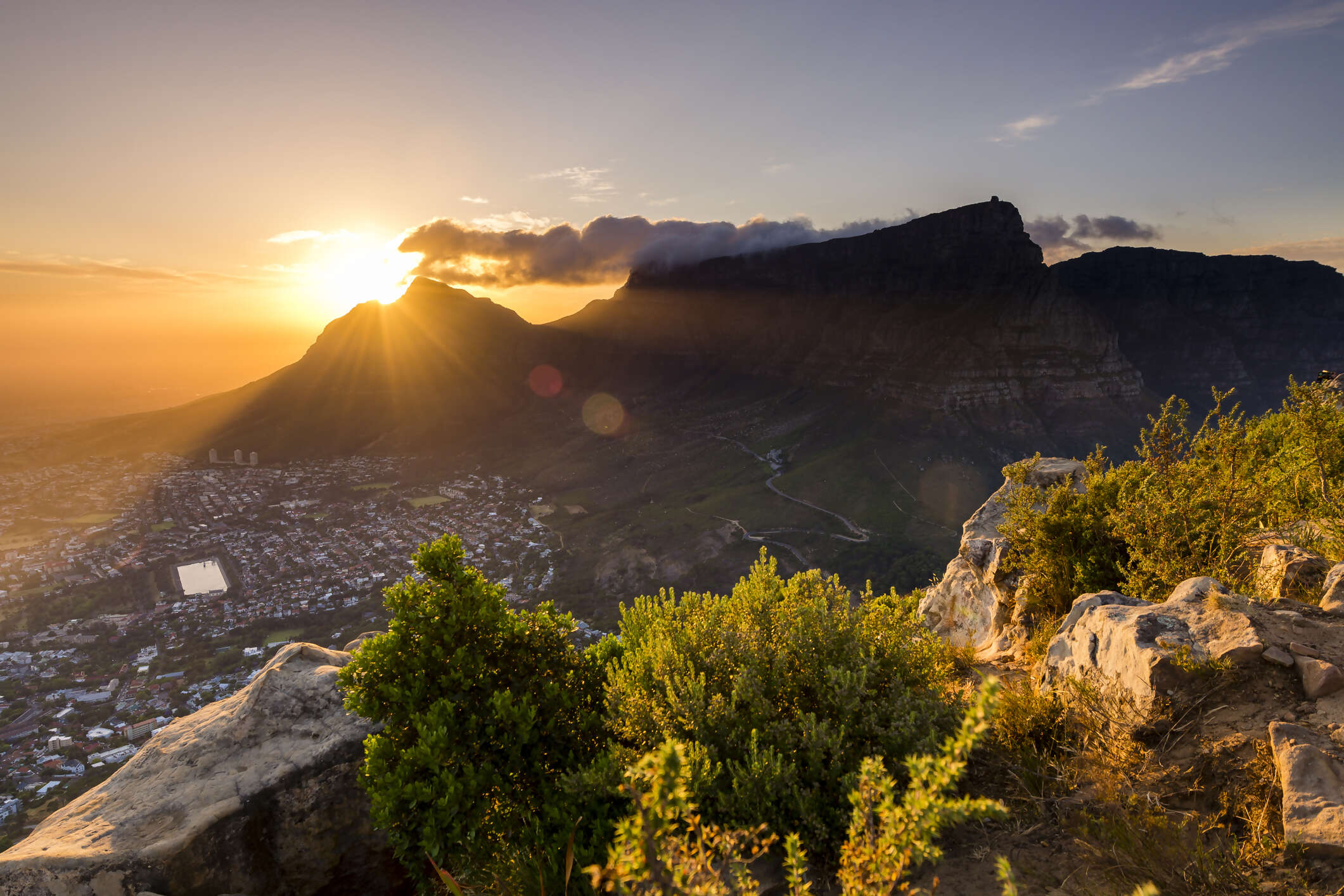 South African Sojourn:  Ancient Art, Wild Animals and the Western Cape