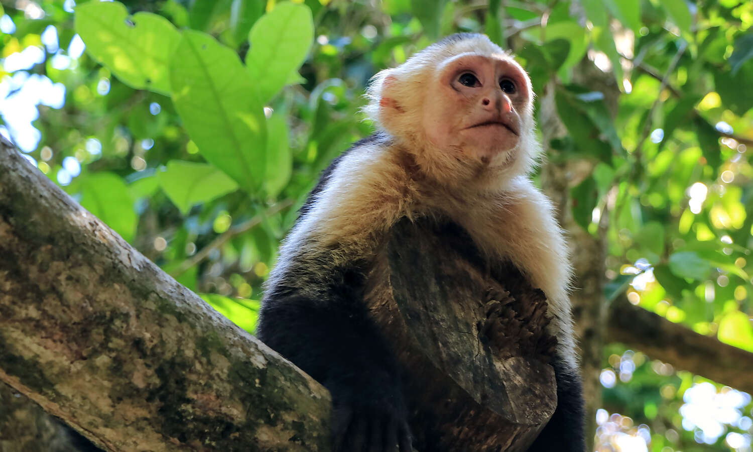 Costa Rica