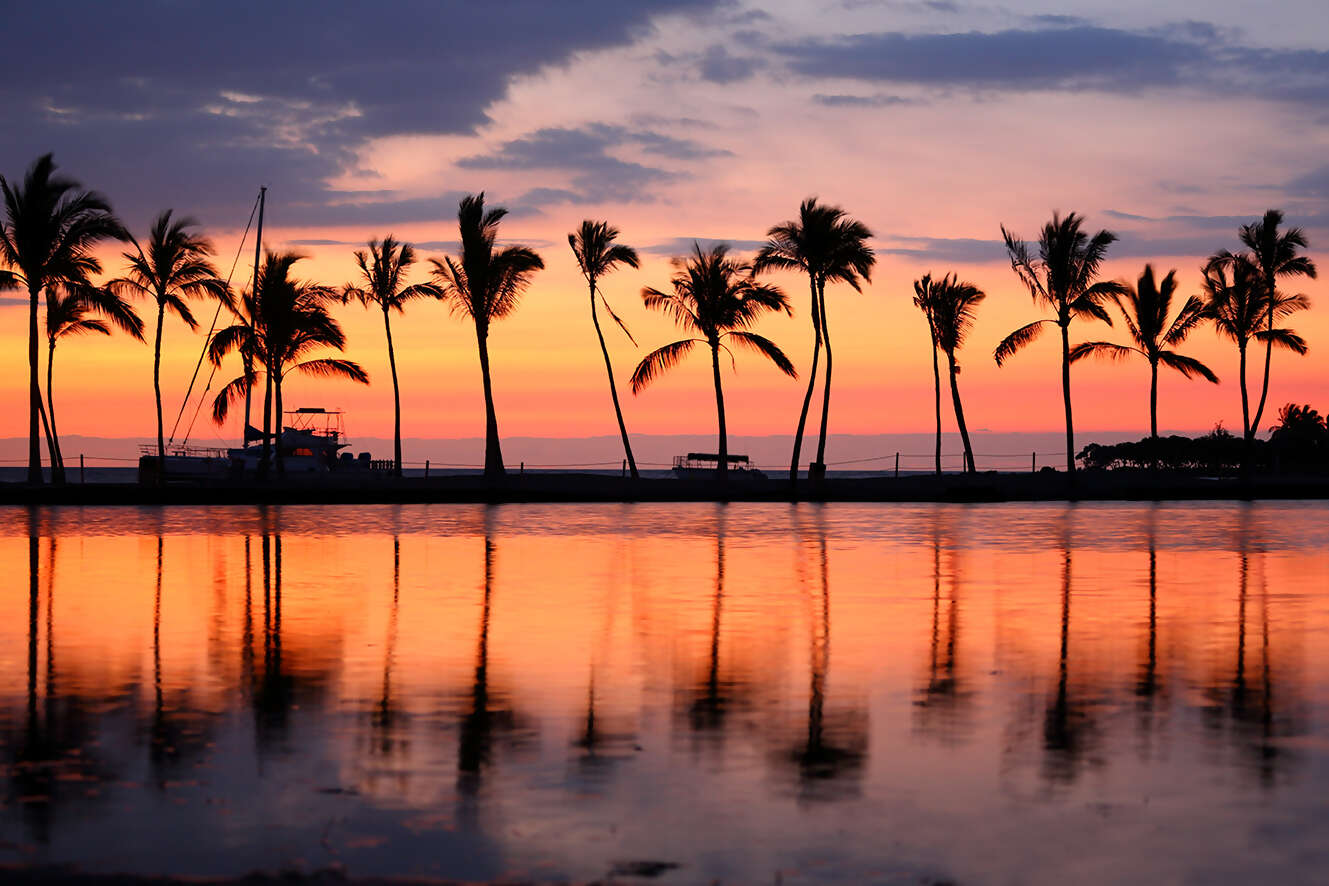 Hawaii Banner