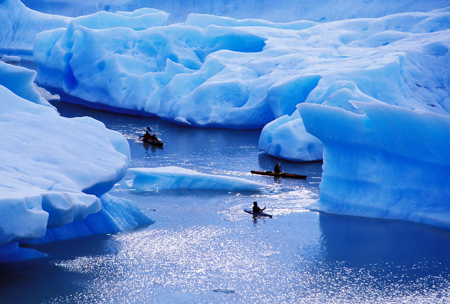 Sail Beyond Limits: 10 Expedition Cruise Adventures You Can't Find on Big Ships