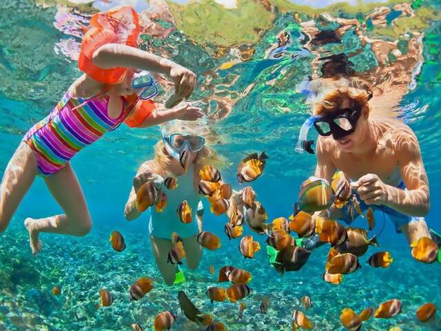 Travel Impressions Favorite Tours: Cancun