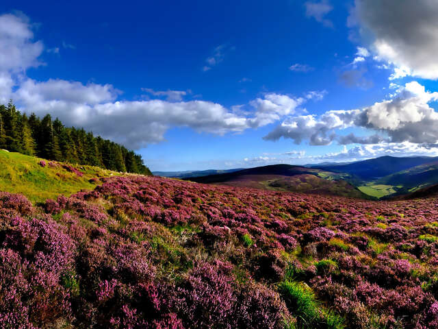 2026 Irish Spirit Self-Drive - 8 Days/7 Nights