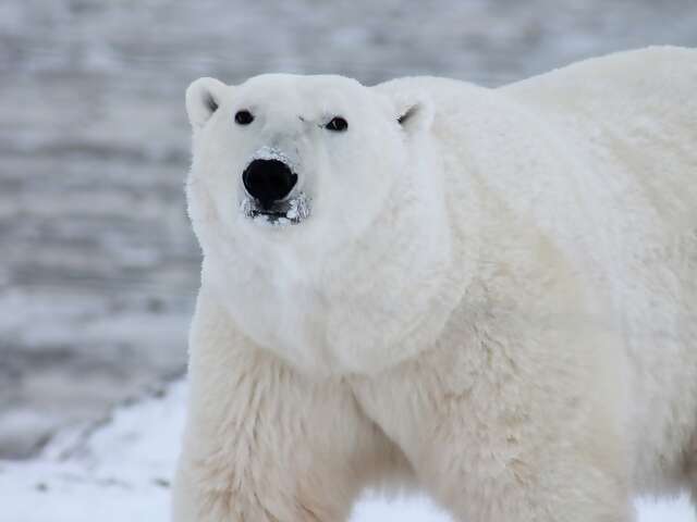 Do You Want To Take A Vacation, Or Experience The Expedition Of A Lifetime?
