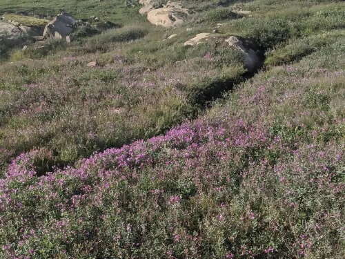 Ancient History and Modern Culture in Mallikjuaq Territorial Park