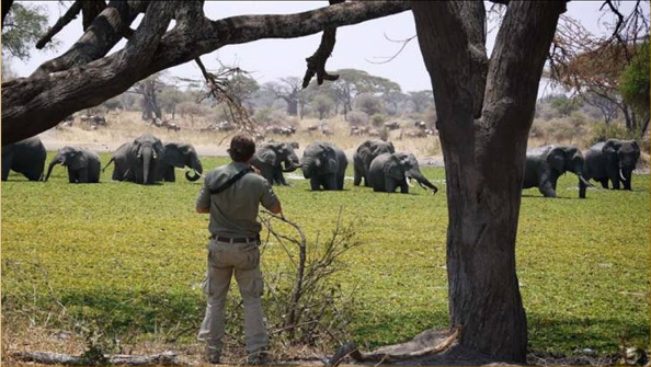 Burunge Wildlife