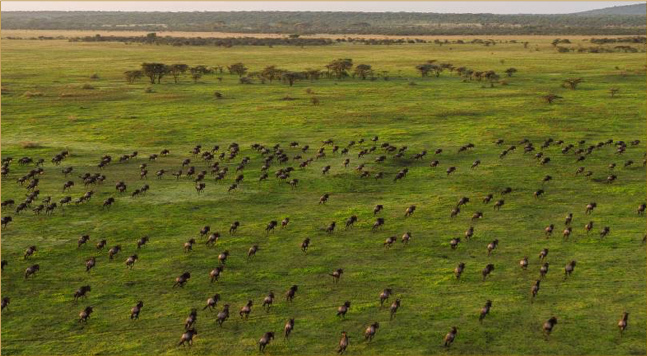 Serengeti National Park