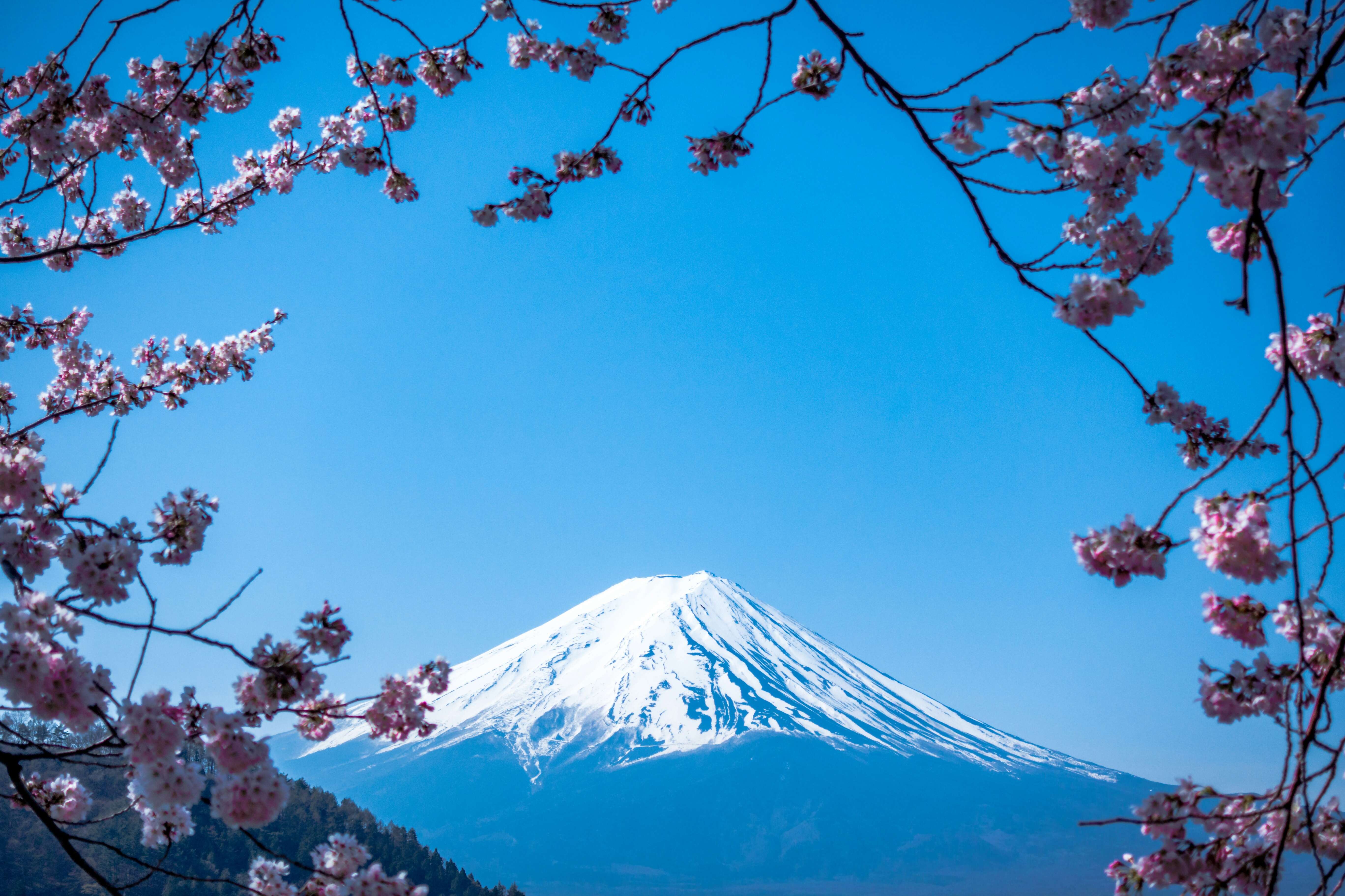Best of Japan