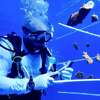 MSC Cruises’ Private Island Cultivating Conservation Success with Super Coral Program