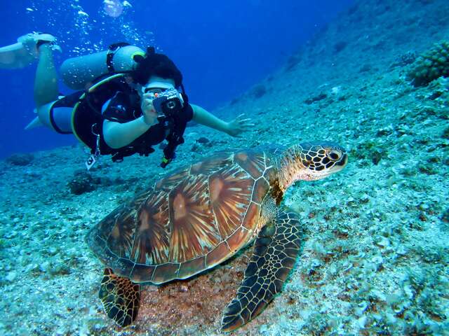 Queensland's Top 10 Adventures: Dive, Bike, Hike, and Explore