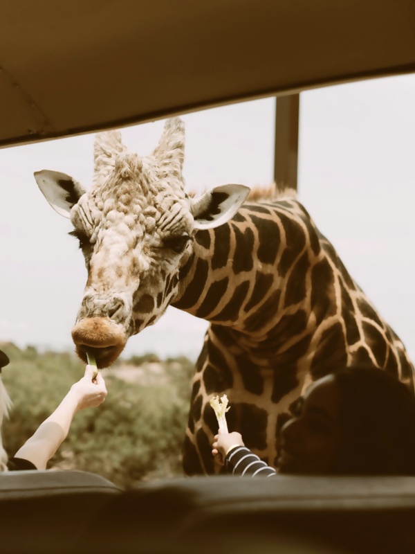 Tauck Launching Small Groups Just for Travelers in Their 40’s and 50’s