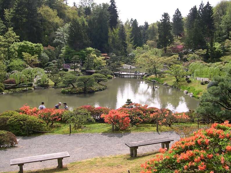 Enjoy a cup of tea at the Seattle Japanese Garden Shoseian Teahouse