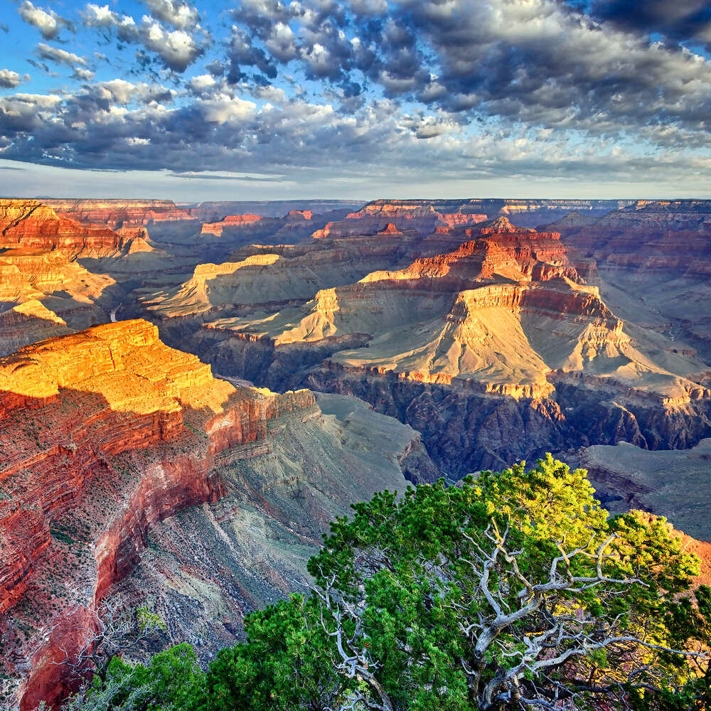5 things you need to know about Arizona