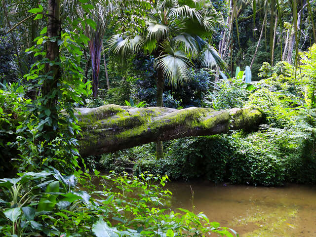 Discovery Coast Atlantic Forest Reserves you gotta go here